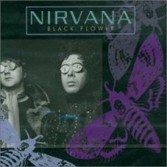 NIRVANA (UK Psych Band) - Black Flower