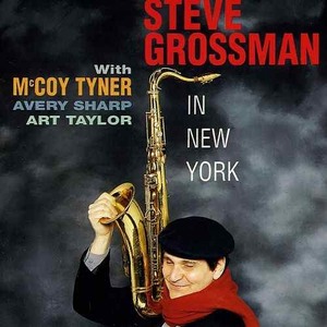 STEVE GROSSMAN - In New York