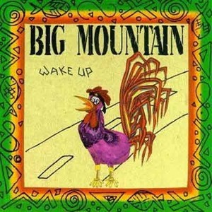 BIG MOUNTAIN - Wake Up