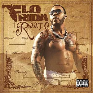FLO RIDA - R.O.O.T.S. Route Of Overcoming The Struggle