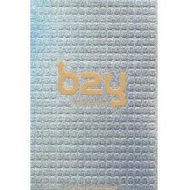 비투와이 (B2y) - 1st Mini Album : Babyboys To Yearninggirls [미개봉]
