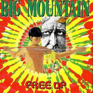 BIG MOUNTAIN - Free Up