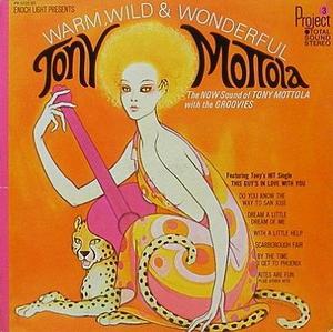 TONY MOTTOLA - Warm, Wild &amp; Wonderful