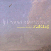 푸딩 [Pudding] - 1집 : If I Could Meet Again