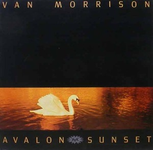 VAN MORRISON - Avalon Sunset